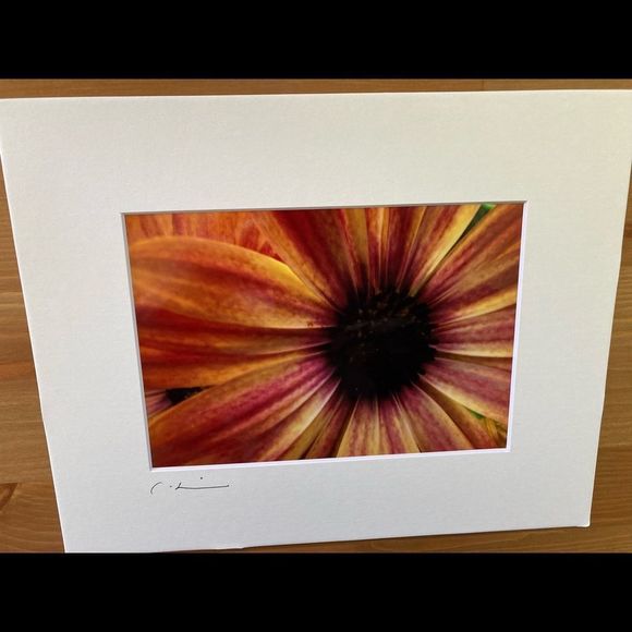 New Original Signed Photography - Picture 2 of 4